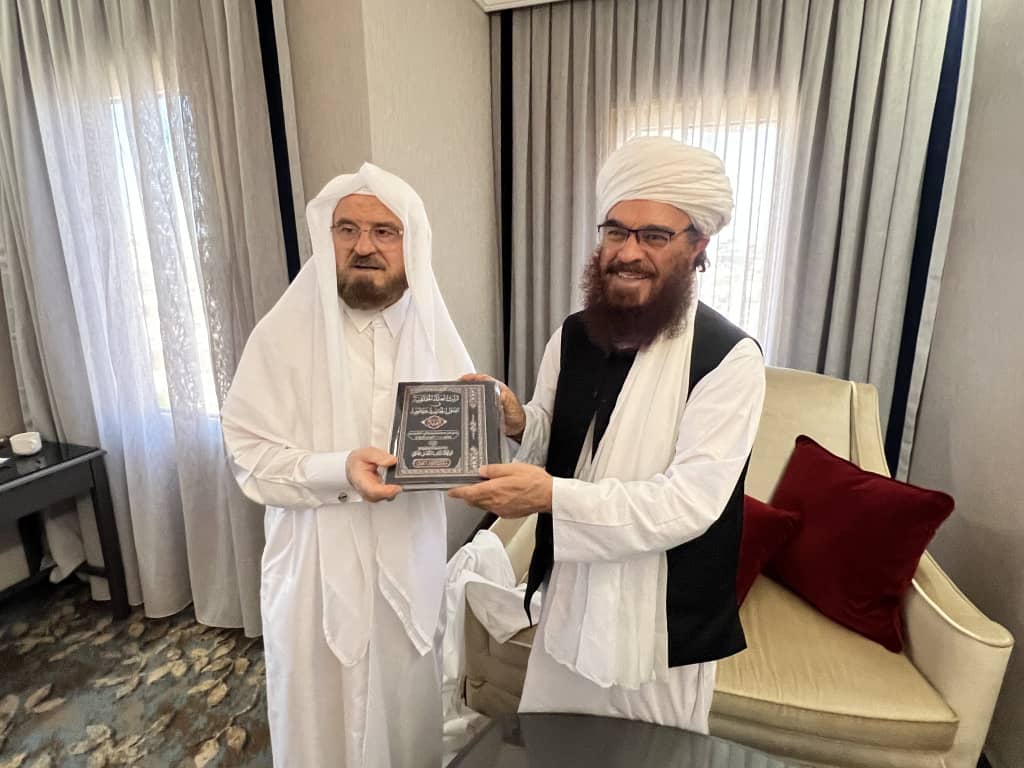 وزیر ارشاد، حج و اوقاف درشهر استانبول ترکیه با رئیس اتحاد عالمی علماء مسلمین  دیدار نمود