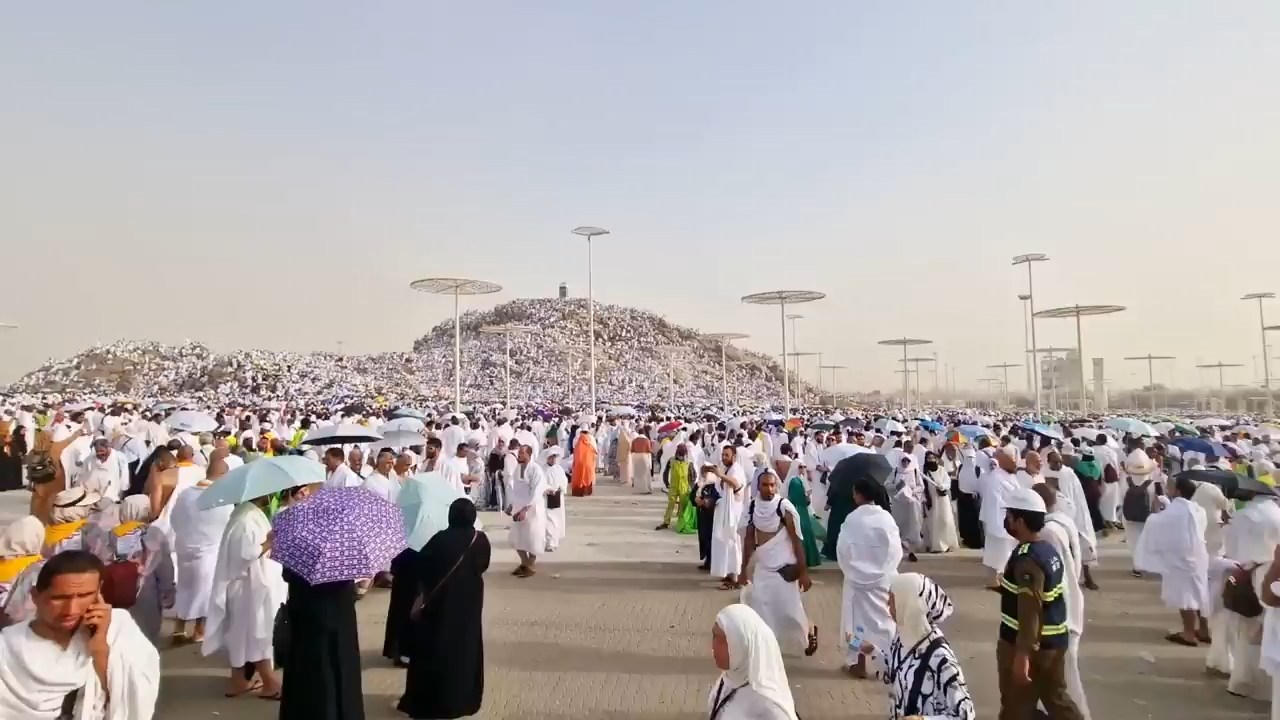 During the Performance of Hajj Rituals, the Process of Transferring Afghan Pilgrims from Mina to the Arafat Was Completed