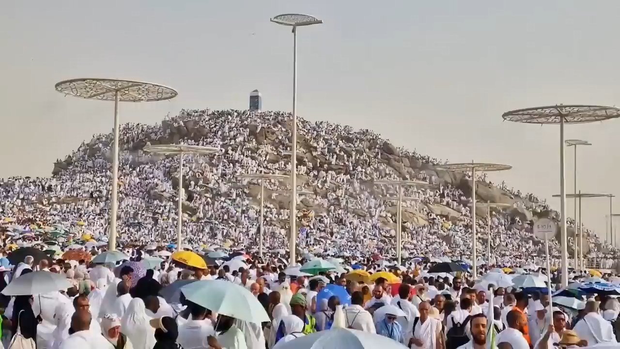 During the Performance of Hajj Rituals, the Process of Transferring Afghan Pilgrims from Mina to the Arafat Was Completed
