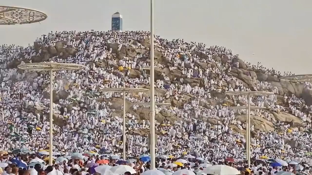 During the Performance of Hajj Rituals, the Process of Transferring Afghan Pilgrims from Mina to the Arafat Was Completed